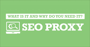 "Unleashing the Power of SEO Proxies: A Definitive Guide"